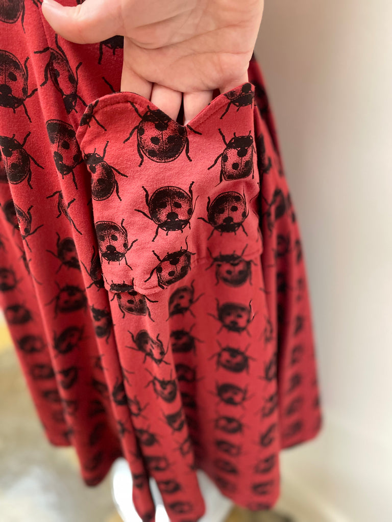 Effie's Heart Radiance Dress Ladybug Print EH591-461 - Robin Boutique-Boutique 