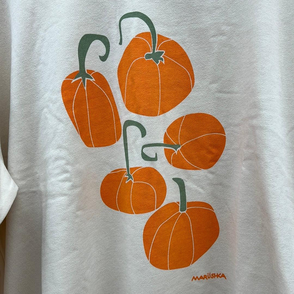 Pumpkin Patch Drop Crew Sweatshirt Pullover - Robin Boutique-Boutique 